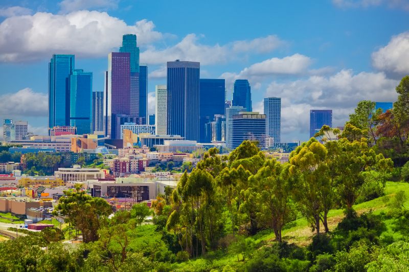 Gardening Service in Los Angeles, CA
