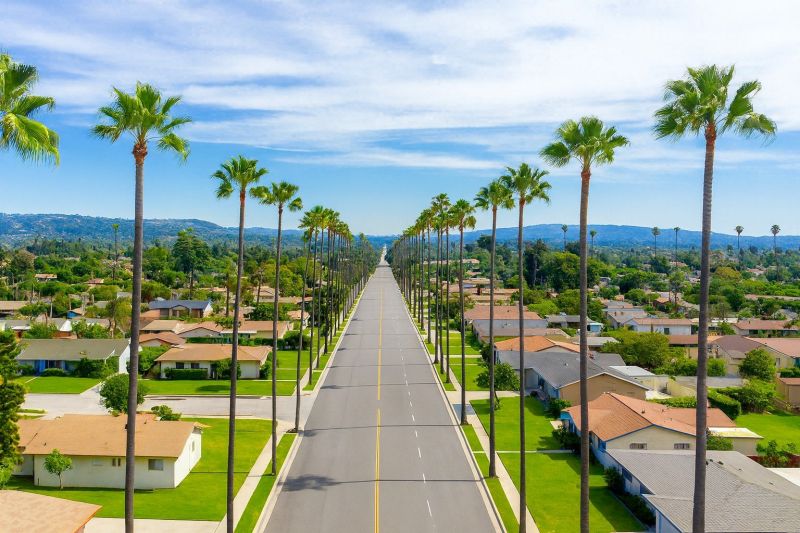 Hedge Installation in West Covina, CA