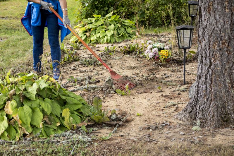 Contact About Ranunculus Planting