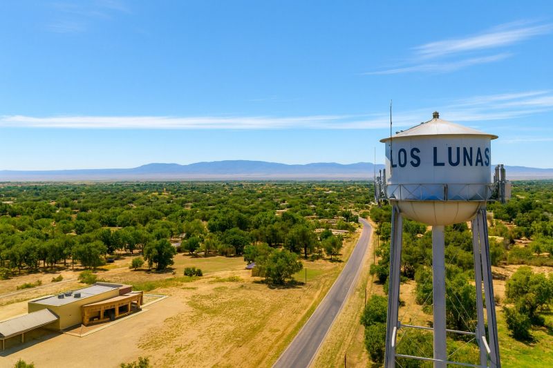 Shrub Replacement in Los Lunas, NM