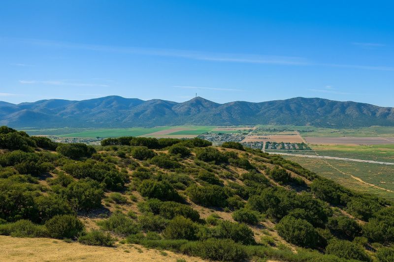 Shrub Replacement in Palmdale, CA