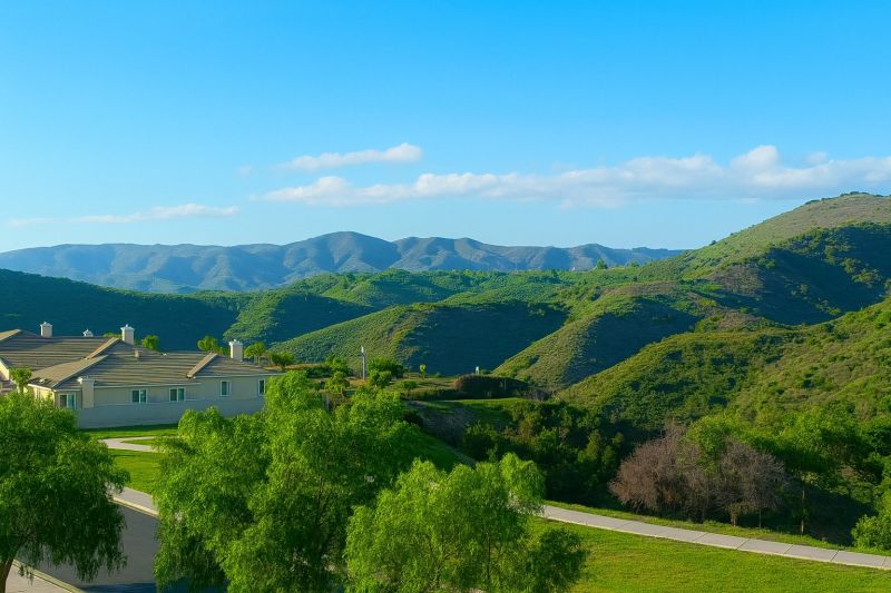 Shrub Replacement in Newbury Park, CA