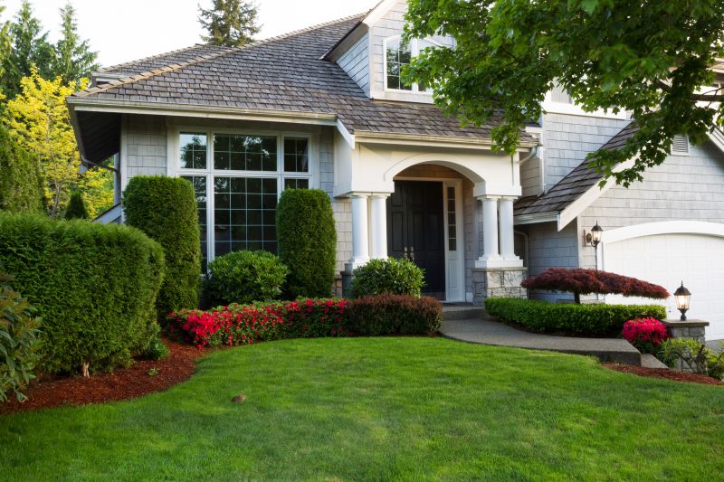 Shrub Replacement